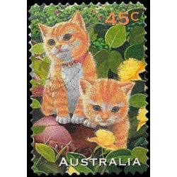 1565 (australie) ⬛