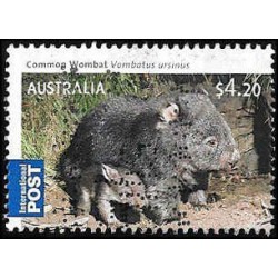 3099 (australie) ⬛