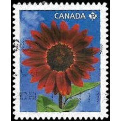 2443 (canada)  ⬛