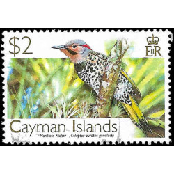0979 (Cayman) ⬛