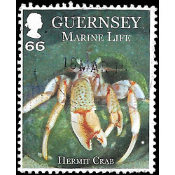 1263 (Guernsey) ⬛